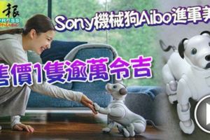 Sony機械狗Aibo進軍美國售價1隻逾萬令吉