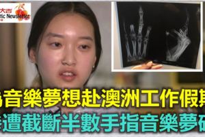 韓女赴澳洲工作假期慘遭截斷半數手指音樂夢碎