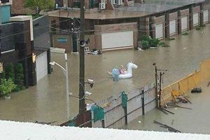 大雨過後趁機看房網友點名：高雄這些地段最好別買