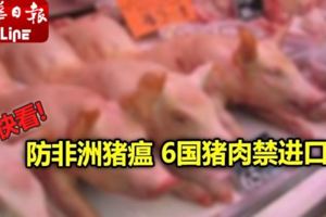 防非洲豬瘟　6國豬肉禁進口