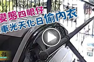 變態四眼仔-乘車光天化日偷內衣