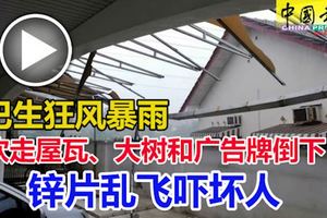 巴生周一午狂風暴雨吹走屋瓦、大樹和廣告牌倒下、鋅片亂飛嚇壞人