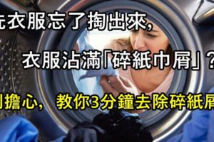 洗衣服忘了掏出來，衣服沾滿「碎紙巾屑」？別擔心，教你3分鐘去除碎紙屑「妙招」，超實用！