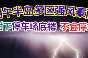 明午半島多區強風豪雨樹下、停車場底樓不宜停車！快看！這些地點都是黑區！