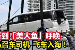 指聽到「美人魚」的呼喚，私召車司機飆車17公裡,飛車入海！