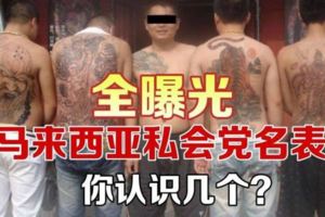 ◤全面曝光馬來西亞私會黨名表◢你們認識幾個？