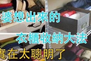 老婆的衣櫃「收納大全」，太聰明了！衣服絕不會亂糟糟