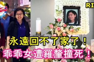 永遠回不了家了！乖乖女遭羅釐撞死！RIP！