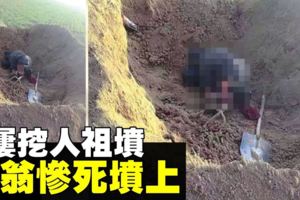 屢挖人祖墳　風水師慘死墳上