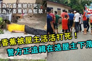 偷香蕉被發現！屋主糾眾打死小偷！網友：一個為了香蕉被打死，一個為了香蕉終身監禁！