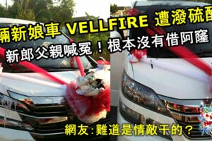 兩輛新娘車VELLFIRE遭潑硫酸！新郎父親喊冤！根本沒有借阿窿，疑遭點錯相，並願意賠償車主！