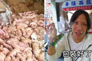 誤帶中國肉腸入境沒被抓！網紅「開箱→自首」事後躲過20萬罰單：豬瘟太可怕(影)