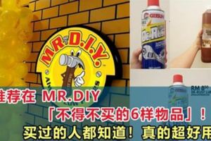 MR.DIY「不得不買的6樣物品」！買過都會回購！功能超強的