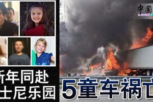 新年同赴迪士尼樂園5童車禍亡