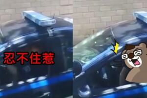 警察情侶大白天車上「親密」...30秒影片流出