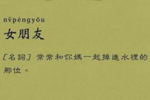 笑噴了！這本字典解釋「女朋友」史上最中肯　接著看到「男朋友」的解釋...網讚翻：真的都這樣！