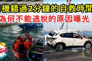 【休旅車被撞下海】司機錯過2分鐘的自救時間！專家分析當時為何不能逃脫的原因！