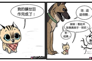 有大哥罩就是這種感覺？　超寵「軍犬與小家貓」讓網友甜到掉牙❤