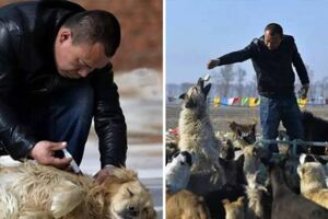 百萬富翁為尋愛犬到屠宰場　「眼前震撼景象」讓他敗光所有積蓄