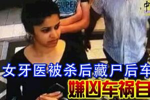 女牙醫被殺後藏屍後車箱嫌兇車禍自殺