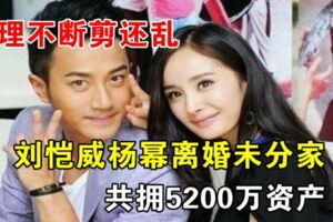 劉愷威楊冪離婚未分家共擁5200萬資產，還一起開公司賺錢_