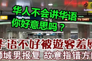 「華人不會講華語，你好意思嗎？」華語不好被遊客羞辱獅城男報復故意指錯方向