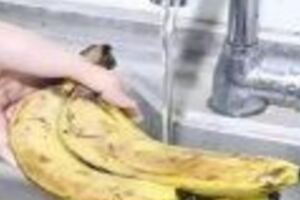 香蕉用水沖一衝，真的厲害，吃了30多年還不知道，學到了