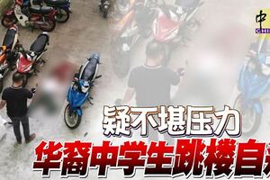 疑不堪壓力華裔中學生跳樓自殺