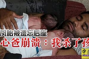 龍鳳胎被遺忘後座粗心爸崩潰：我殺了孩子