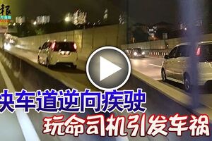 快車道逆向疾駛玩命司機引發車禍