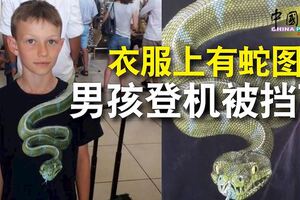 衣服上有蛇圖案男孩登機被擋下要求脫下上衣