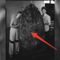 考古學家在巨樹底下挖出了顆巨蛋，本以為是「超稀有恐龍蛋」，但剖開來裡面的東西卻「有手有腳」…