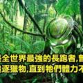 寶寶比成人多60根骨頭！「22種每個人一生下來就具備的特殊超能力！」