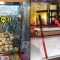 驚見日本街頭最奇葩的8種「異物夾娃娃機」網友：夾到第7種..「你可要瞬間發大財」了！