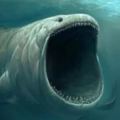 漁民意外捕獲罕見「象鯊」，世界第二大隻的魚種！
