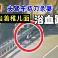 《浴血跳車》妻子中7刀高速路跳車，行兇丈夫投案時病發