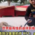 世界最有錢的迪拜到底多有錢看到漢堡裡的肉KFC：goodbye