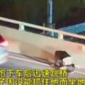 跟同學吵架又被罵！兒直接「衝下車」跳橋亡母捶地爆哭