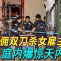 女傭雙刀殺女僱主案庭內爆驚天內幕