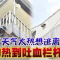 天氣太熱想逃離陽台狗熱到吐血欄桿弔死