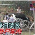 擅闖停泊禁區 母子臥屍車內