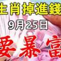 九大生肖掉進錢堆了，9月25日要暴富