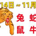 12生肖一周（11.14~11.20）