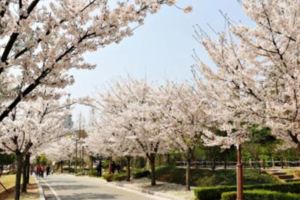 【韓劇景點】大力女子都奉順，走訪首爾約會景點！