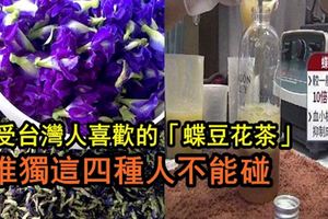 深受台灣人喜歡的「蝶豆花茶」花青素10倍喝，兩步自製蝶豆花茶，抗老抗氧化、預防糖尿病，一杯6種功效「但唯獨這四種人不能碰」