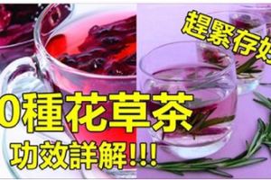 50種花草茶的功效詳解！防癌、養生、減肥、美容養顏......趕緊存好！！！