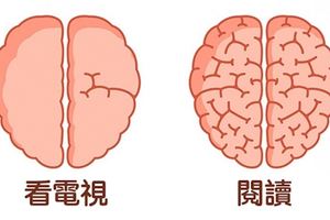 自己的大腦自己救！9個證明「大腦會很被你徹底影響到」的行為！