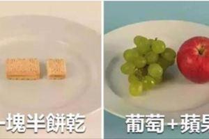 「100大卡的熱量」長什麼樣？看完讓你從此「戒掉吃餅乾」的壞習慣！