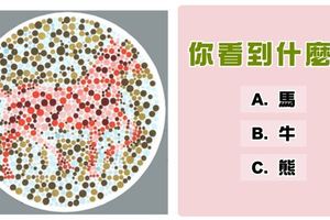 【心理測驗】你的人格特質是什麼？先說你第一眼看到什麼動物！