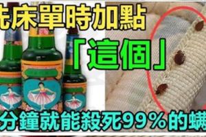 洗床單加點「這個」，只需1分鐘就能清除99％的蟎蟲！超實用！